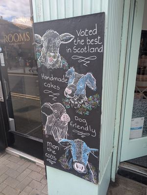  at Vegan Earth in Ayr