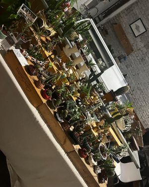   at Carmo in New Orleans