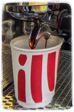 Great combination of illy coffee and oat Barista milk. Really smooth. 💚 at New Dawn Vegan Coffee Shop in Borrowdale