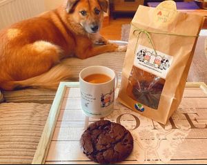 Soooo delicious 🤤💞🌱 at New Dawn Vegan Coffee Shop in Borrowdale