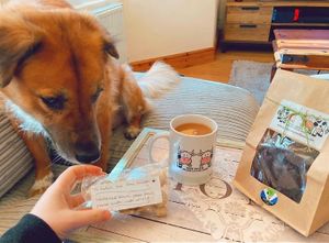 My dog Lukie was super impressed with his treats too 🥰 at New Dawn Vegan Coffee Shop in Borrowdale