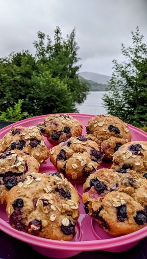 Blueberry muffins. at New Dawn Vegan Coffee Shop in Borrowdale