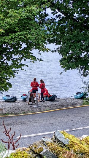  at New Dawn Vegan Coffee Shop in Borrowdale