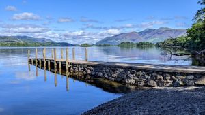  at New Dawn Vegan Coffee Shop in Borrowdale