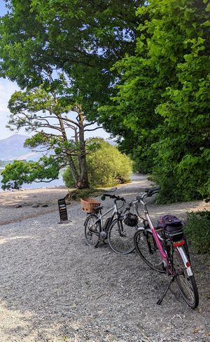  at New Dawn Vegan Coffee Shop in Borrowdale