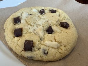 cookie  at Rebels in Bamberg