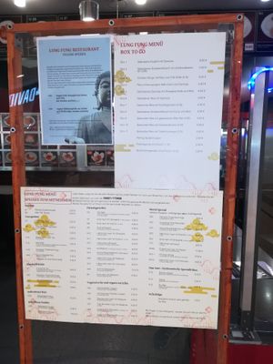 See below the Vegan and vegetarian options at Lung Fung in Neunkirchen