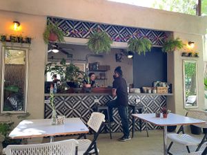 In the backyard of Corazón Contento. They live up to the name! at Corazon Contento PDC in Playa Del Carmen