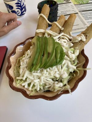 Chopeadotas  at Corazon Contento PDC in Playa Del Carmen