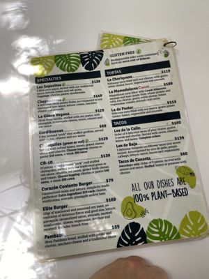   at Corazon Contento PDC in Playa Del Carmen