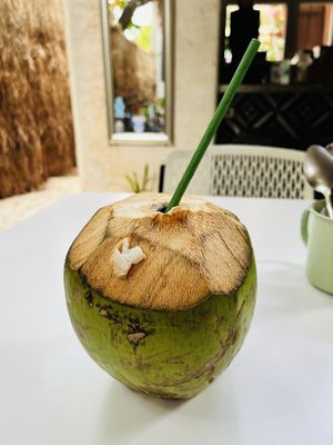 Fresh coconut  at Corazon Contento PDC in Playa Del Carmen