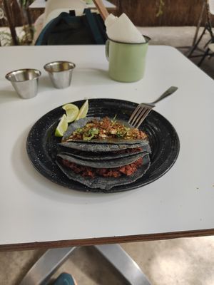 Deliciosa comida y excelente servicio at Corazon Contento PDC in Playa Del Carmen