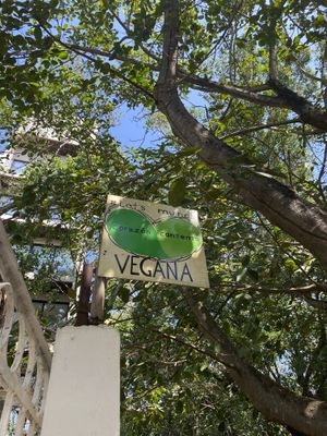   at Corazon Contento PDC in Playa Del Carmen