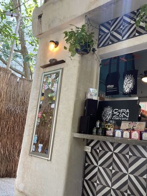   at Corazon Contento PDC in Playa Del Carmen