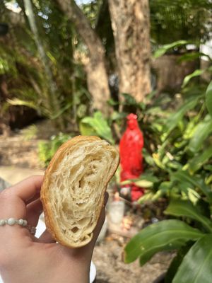   at Corazon Contento PDC in Playa Del Carmen