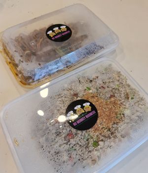 Ordered via Food Panda ~ 1/12/21 at No Monkey Business in Northeast Singapore