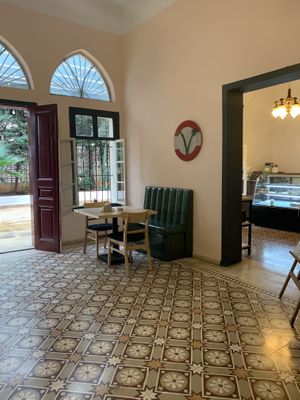 Lebanese vegans social hub #Veganuary at Lebanese Vegans in Beirut