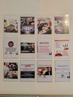  at Lebanese Vegans in Beirut