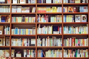 Roughly 5 categories of books: food, travel, plant, read and  children. at OyOy in Kyoto