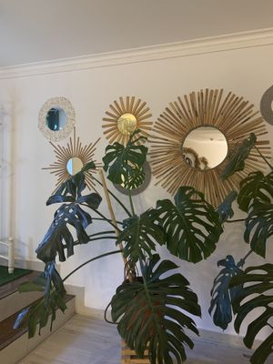 Interior  at Eco Cafe in Tashkent