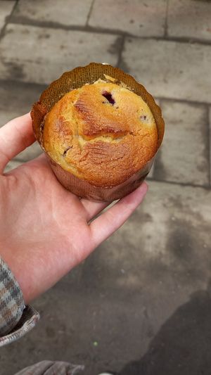 blueberry muffin at Fine Schmecker in Monheim Am Rhein