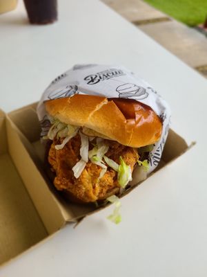 Chicken sandwich at Winter Park Biscuit Company in Orlando