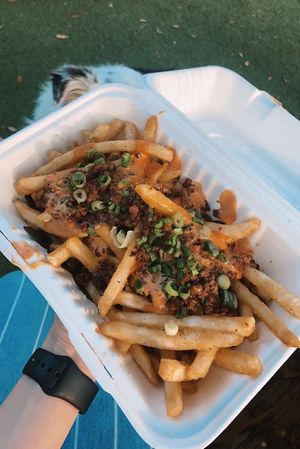 loaded fries  at Winter Park Biscuit Company in Orlando