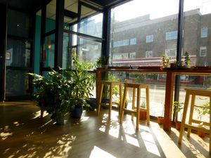 Koda at Koda Coffee in Scarborough