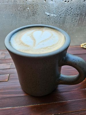 Ginger Baker at Koda Coffee in Scarborough