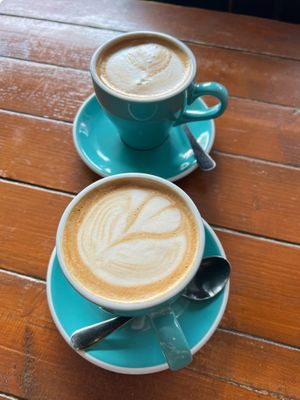 Lattes at Koda Coffee in Scarborough