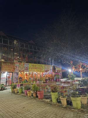   at Gigi Gao's Favourite Authentic Chinese in Swansea