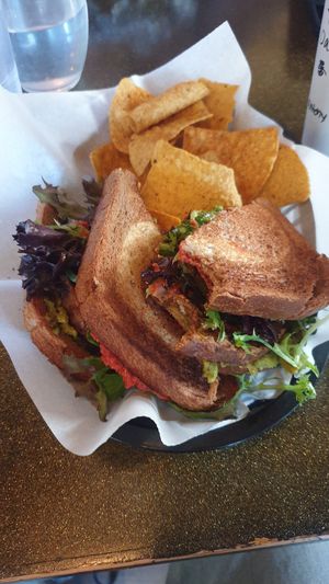 Veganator sandwich at A Daily Dose in Crested Butte