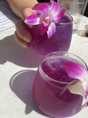 Garden of Zen (Gin and Juice)   at Morning Nights in Long Beach