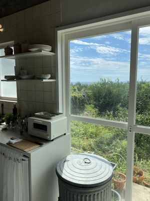   at Sunshine Walk in Jeju