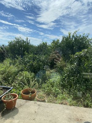   at Sunshine Walk in Jeju