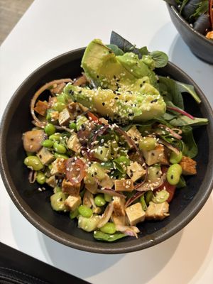   at Ma'loa in Bonn