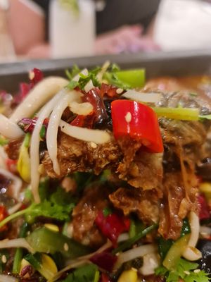 Close up ~ 31/3/22 at Lotus Vegetarian 莲心 - Novena in Central Singapore