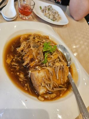 Shark Fin Tofu ~ 26/9/23 at Lotus Vegetarian 莲心 - Novena in Central Singapore