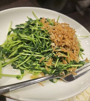 Stir fried fresh pea sprouts.~ 26/9/23 at Lotus Vegetarian 莲心 - Novena in Central Singapore