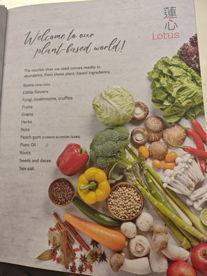  at Lotus Vegetarian 莲心 - Novena in Central Singapore