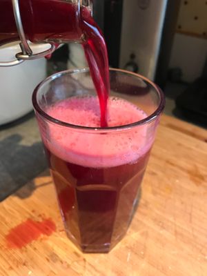 House Made Blueberry Kombucha at Globowl Cafe in Lexington