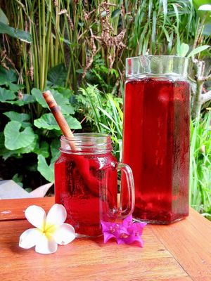 Iced Hibiscus Tea at Globowl Cafe in Lexington