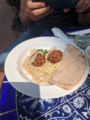 Falafel at Globowl Cafe in Lexington