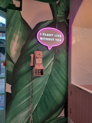 ❤ at Neat - Camden in North West London