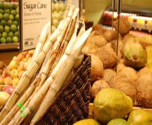 Sugar cane, mangoes & coconuts at Whole Foods Lake Grove at Whole Foods Market in Lake Grove