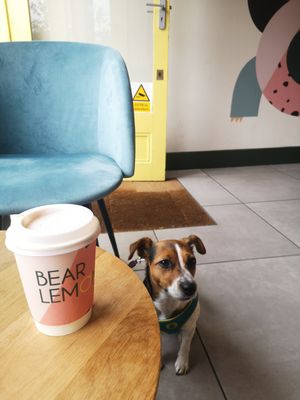  at Bear Lemon in Dublin