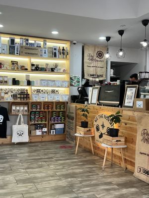   at We The North in Tenerife