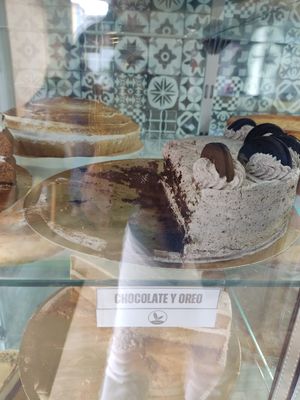  at We The North in Tenerife