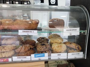  at We The North in Tenerife