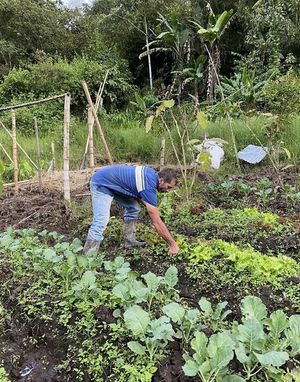  at Tienda Agroecológica Cogollo in Pereira